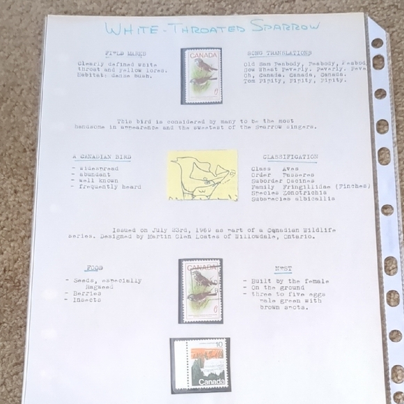 White Throated Sparrow Stamp Themed Scrapbook Page - Picture 1 of 3